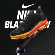 Nike Air Max Plus TN Shoes (55) Nike Air Max Plus TN Shoes (55)