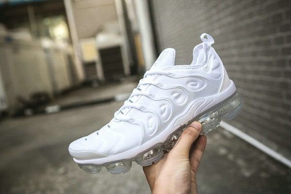 Nike Air Max Plus TN Shoes (19)