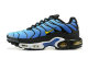 Nike Air Max Plus Shoes (191)