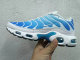 Nike Air Max Plus Shoes (261)