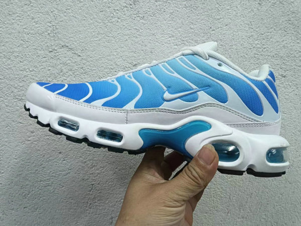 Nike Air Max Plus Shoes (261)