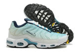 Nike Air Max Plus Shoes (274)