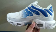 Nike Air Max Plus Shoes (290)