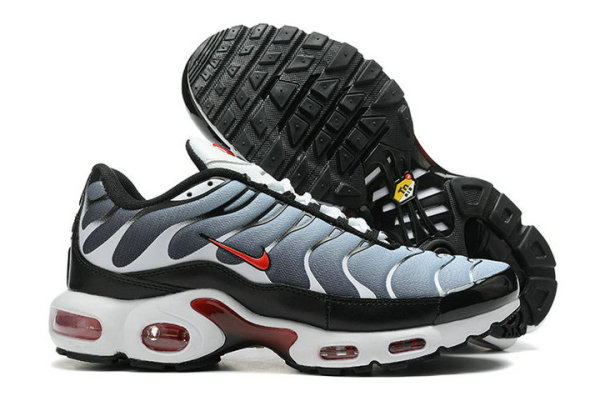 Nike Air Max Plus Shoes (210)