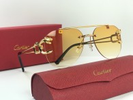 Cartier Sunglasses AA quality (7)