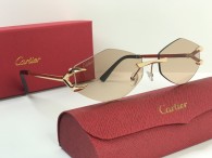 Cartier Sunglasses AA quality (23)