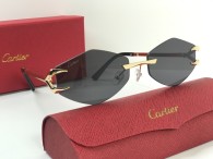 Cartier Sunglasses AA quality (22)