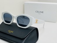 Celine Sunglasses AA quality (47)