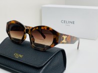 Celine Sunglasses AA quality (44)
