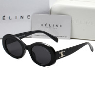 Celine Sunglasses AA quality (30)