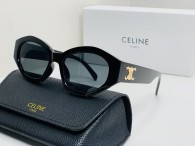 Celine Sunglasses AA quality (46)
