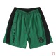 Hellstar Shorts (17)