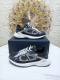 Dior b30 Shoes (16)