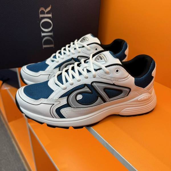 Dior b30 Shoes (30)
