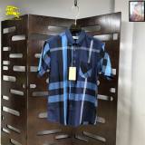 Burberry Short Shirt (100)