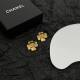 Chanel Earrings (15)
