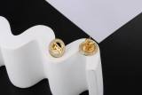 LV Earrings (28)