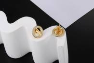 LV Earrings (28)