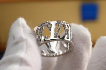LV Ring (34) LV Ring (34)