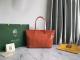 Goyard Handbag AAA (77)