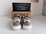 Authentic Y 350 “Turtle Dove”