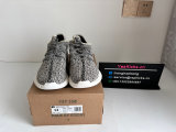 Authentic Y 350 “Turtle Dove”