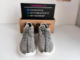Authentic Y 350 “Turtle Dove”