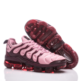 Nike Air Max Plus TN Shoes (1)