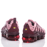 Nike Air Max Plus TN Shoes (1)