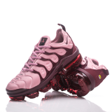Nike Air Max Plus TN Shoes (1)