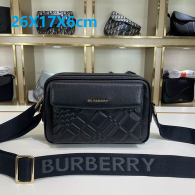 Burberry Men Bag AAA  (13)