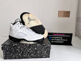 Authentic Air Jordan 5 “Reverse Metallic”