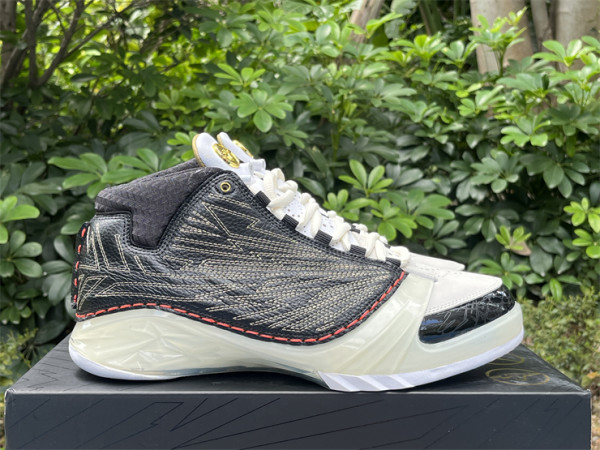 Authentic Air Jordan 23 Black/White