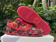 Authentic The Wizard of Oz x Nike SB Dunk Low