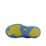 Air Jordan 12 Kid Shoes 22