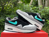 Authentic Nike Air Max 1 Premium Retro “atmos”