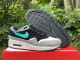 Authentic Nike Air Max 1 Premium Retro “atmos”