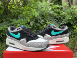 Authentic Nike Air Max 1 Premium Retro “atmos”