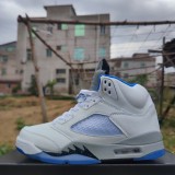 Air Jordan 5 Shoes AAA (9)