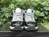 Perfect Air Jordan 11