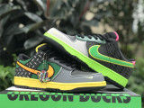 Authentic Division Street x Nike Dunk Low “What The Duck” (Home)
