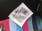Authentic Division Street x Nike Dunk Low “What The Duck” (Home)