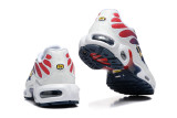 Nike Air Max Plus TN Kid  (20)