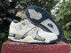 Authentic Nike Air Flight 89 Grey/White/Blue