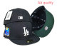 Los Angeles Dodgers 59FIFTY Hat (86)