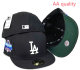Los Angeles Dodgers 59FIFTY Hat (88)