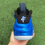 Nike Air Foamposite One (2)