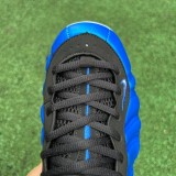 Nike Air Foamposite One (2)