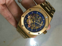 AP watches (18) AP watches (18)