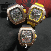 Richard Mille watches (170)